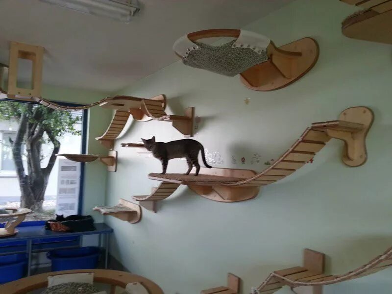 Cat playground
