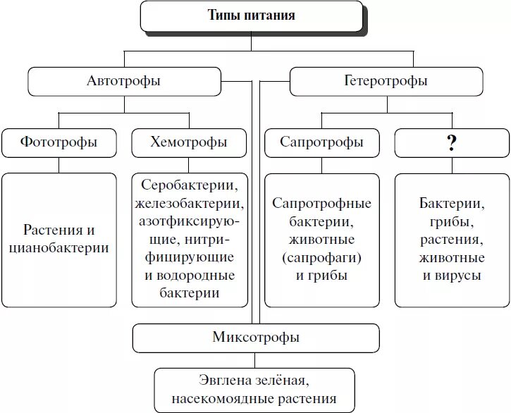 Схема видов таблиц