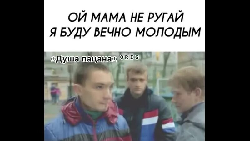 Мама не ругай я буду вечно молодым. Ой мама не ругай буду. Ой мама не ругай меня я буду молодым. Мама не ругай меня буду вечно молодым песня.