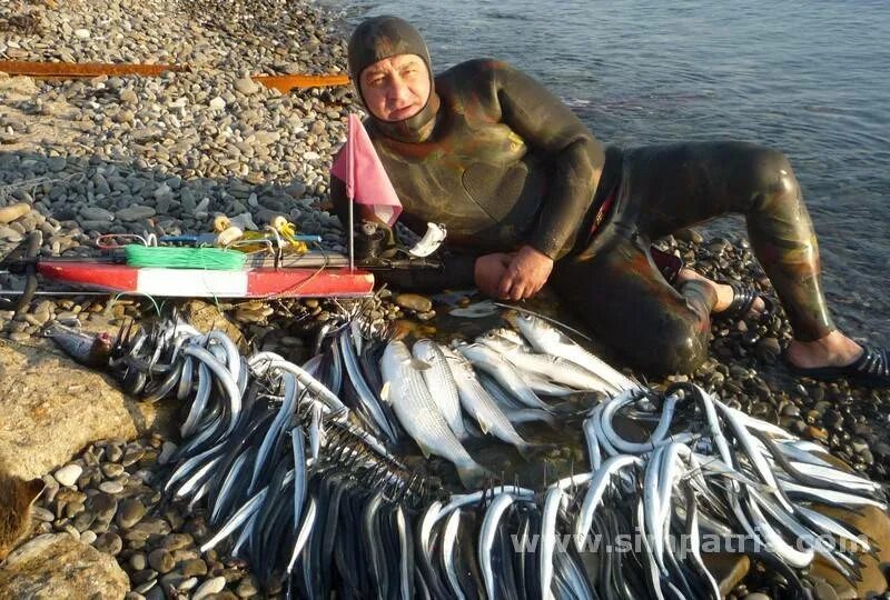 Ловля кефали с берега. Подводная охота на пеленгаса в черном море. Улов подводных охотников. Рыболовство в Крыму.