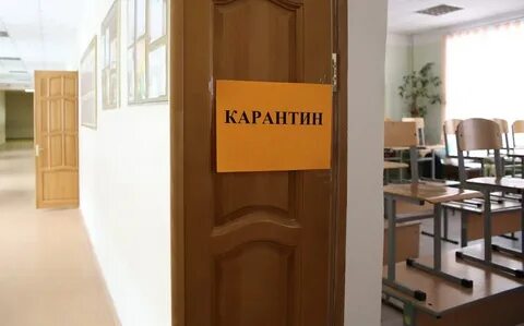 Какие школы закрылись на карантин