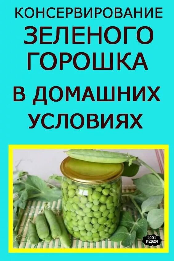 Консервирование зеленого горошка. Консервирование зелёного горошка на зиму в домашних. Рецепт консервирования зеленого горошка. Зелёный горошек консервированный. Можно ли консервировать горох