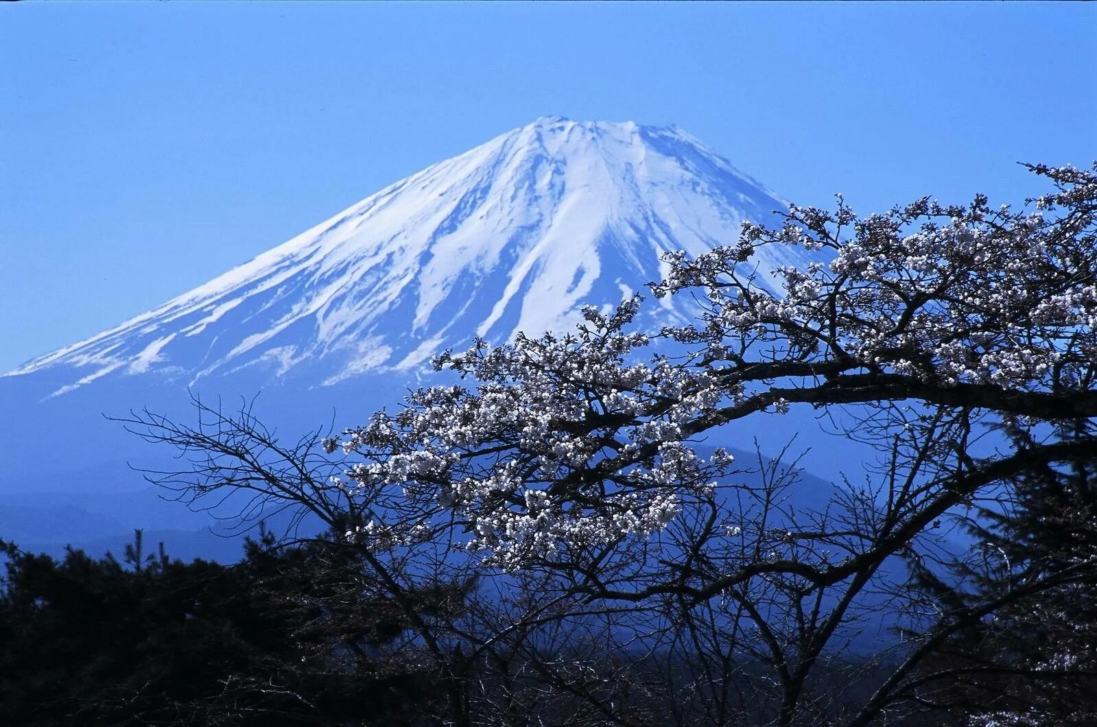 Фудзияма Япония. Вулкан Фудзияма в Японии. Священная гора Фудзияма. Гора Фудзи в Японии Токио. Фудзияма работа