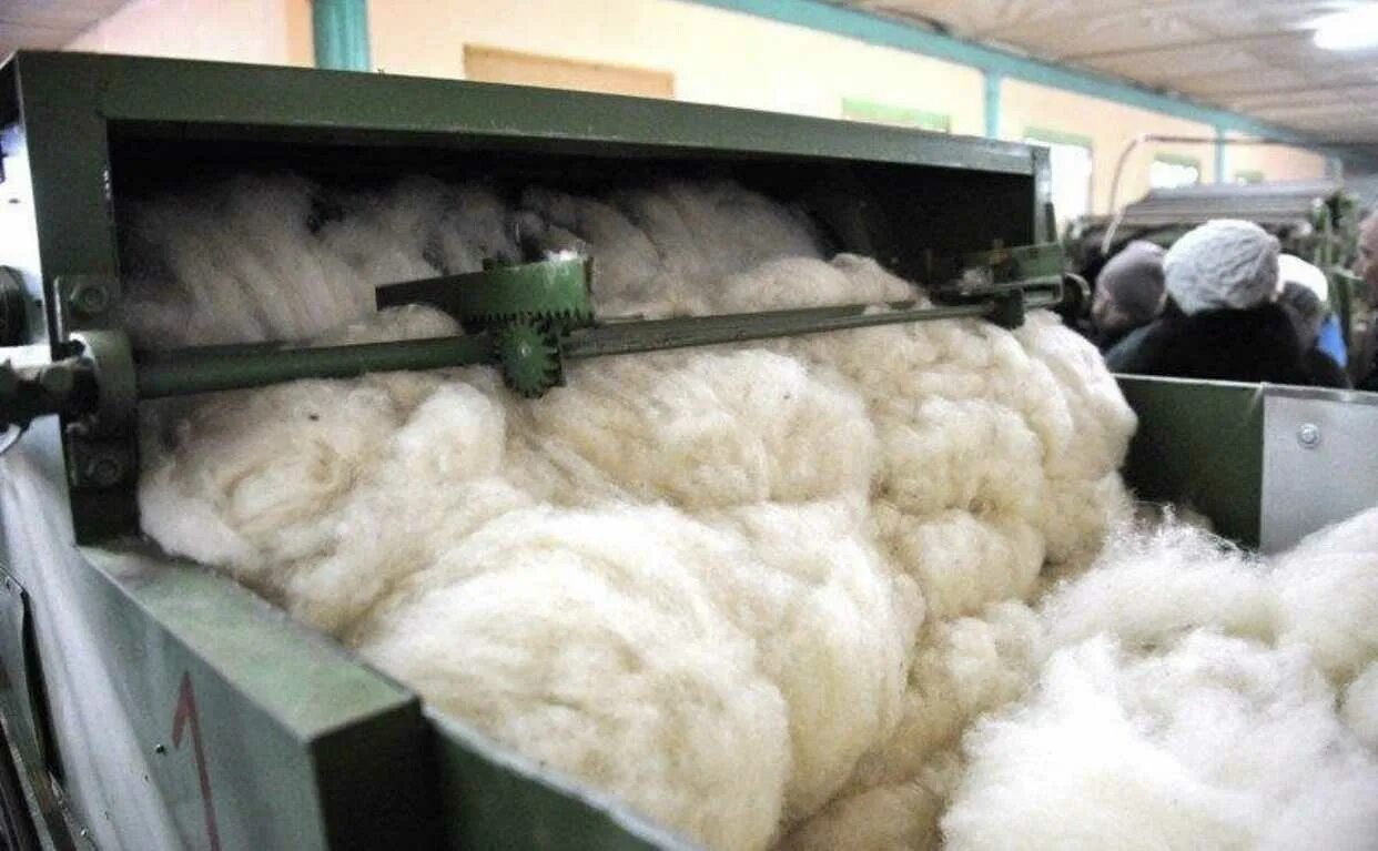 Шерсть мериносов. Тёплый шарфик не колючий. Шерсть барана. Текстура шерсти. Шерстя ое.