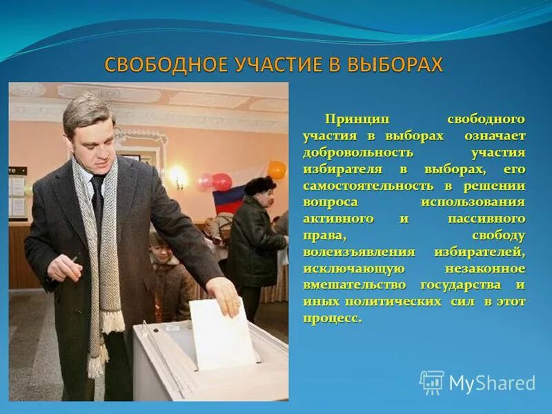 Принцип свободных выборов. Принципы участия в выборах. Принципы участия граждан в выборах. Добровольность участия в выборах. Принципы участия граждан РФ В выборах.