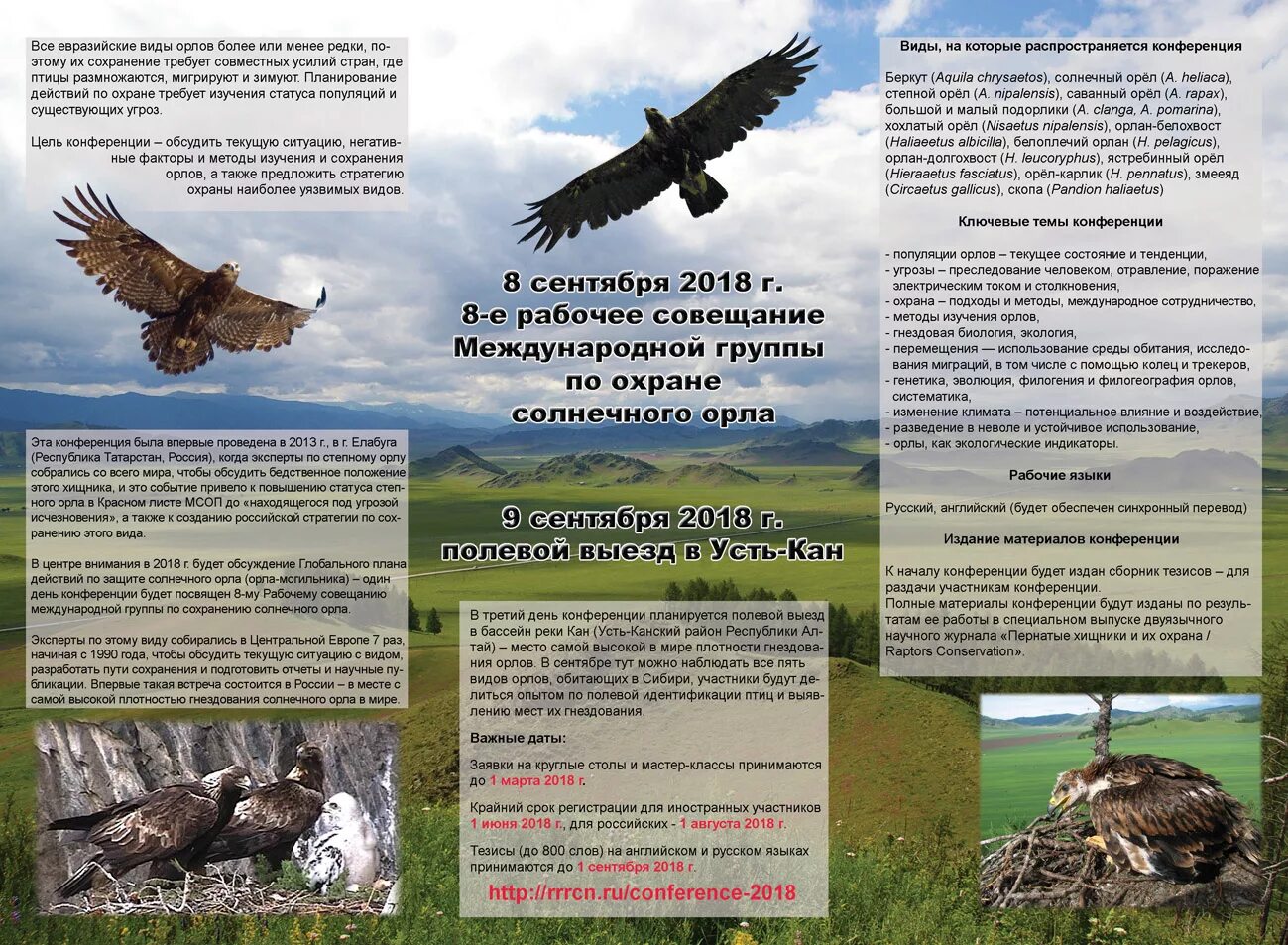 Беркут Орел ареал обитания. Орел буклет. Орел в Республике Алтай. Орлы охранники.
