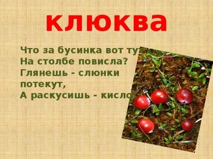 Фараон клюква текст