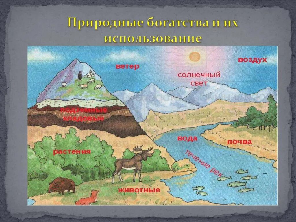 Природные богатства. Проект природные богатства. Рисунок на тему природные богатства. Природные богатства России для дошкольников презентация. Для чего нужны природные богатства