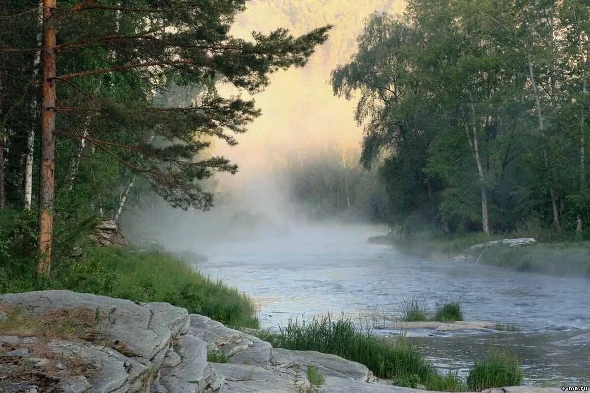 Утро лес река. Туман на реке. Утро на реке. Туман летом.