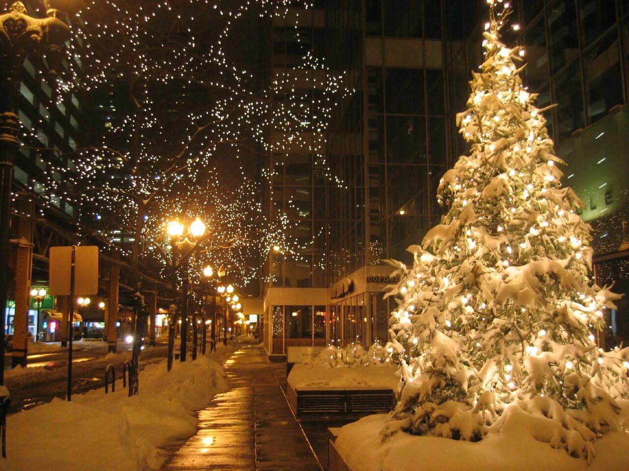 Новогодняя елка на улице. Новогодняя елка на улице в снегу. Рождественская ёлка на улице в снегу. Новый год фотографии.