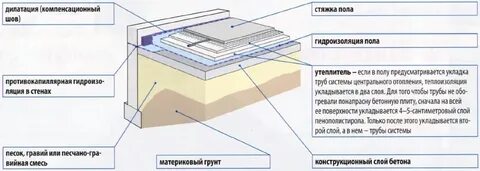 Что называется полом