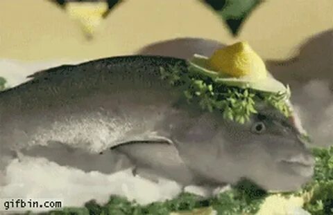 Танцующая селедка