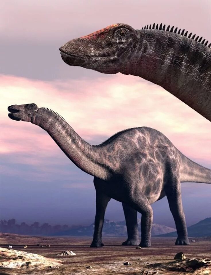 Травоядные динозавры зауроподы. Дикреозавр. Зауропод динозавр. Дикреозавр динозавр.