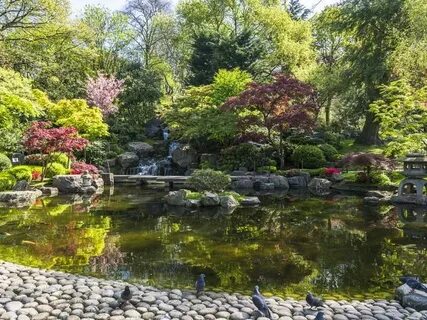 Holland park фото