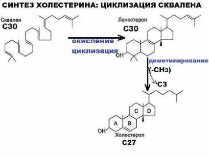 Название холестерина