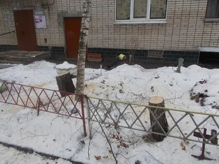 Турион купавна