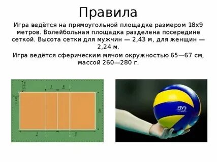 Какая высота сетки у женщин