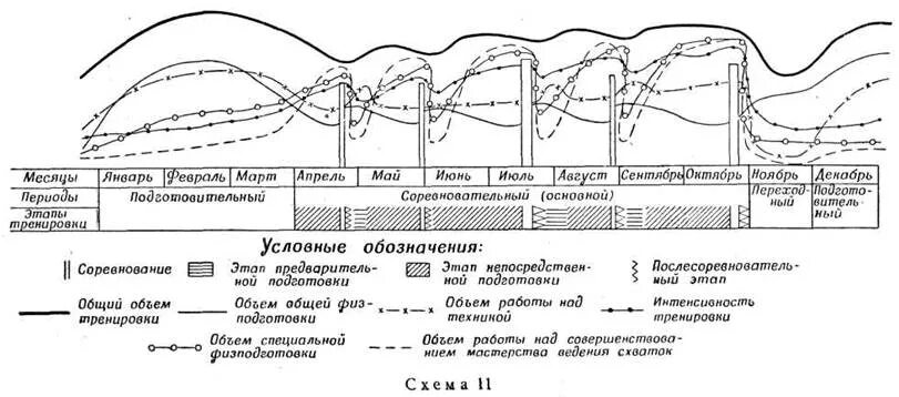 Структура годичного цикла подготовки пловца. Мезоцикл план тренировок. Макроцикл мезоцикл. Схема годичного цикл тренировки. Циклы подготовки спортсменов