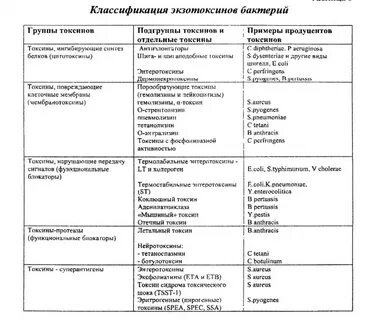 Белковые токсины бактерий
