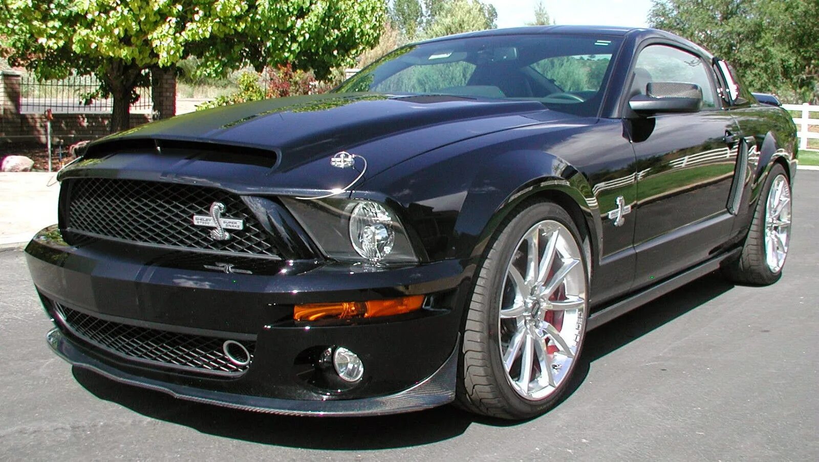 Мустанг Шелби 2008. Форд Мустанг 2008. Ford Mustang gt 2008. Ford Mustang Shelby 2008. Мустанг 2008