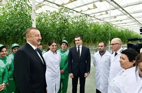 Азербайджан новости дня