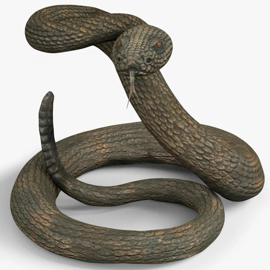 Перчатки гремучая змея. Змея 3д модель. Модель со змеей. Змея 3d модель. Голова змеи 3d модель.