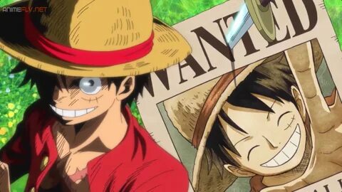 Yandere one piece