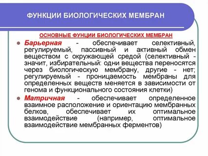 Входит ли в состав биологических мембран атф
