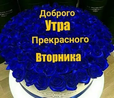 Привет вторник картинки
