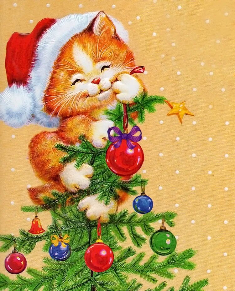 с новым годом 2022. с новым годом 2024 картинки с котами. уютные новогодние котики. ким хаскинс коты мастер класс. с новым годом 2024 картинки с котами.