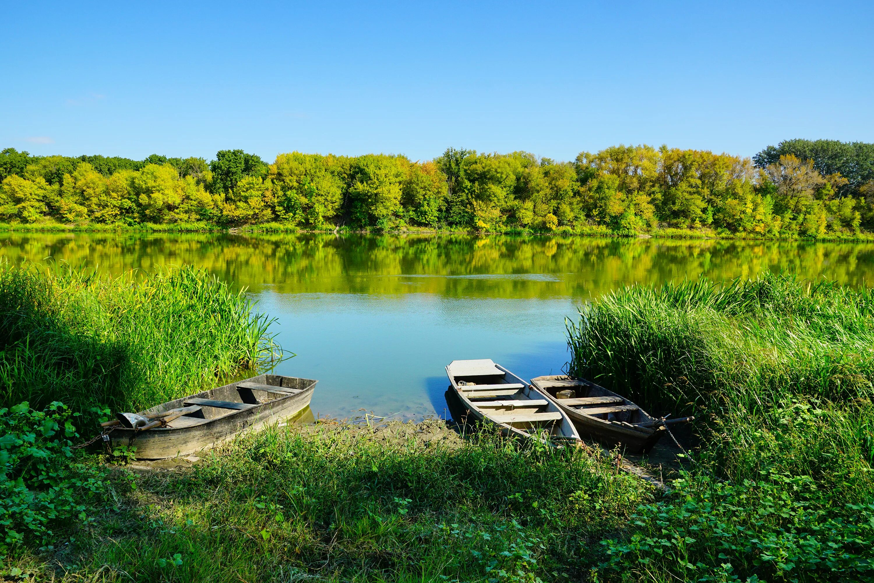 Дон природа мелиховская. Река протока краснодарский край. Река дон волгодонск. Хутора хутор река. Река дон волгодонск.