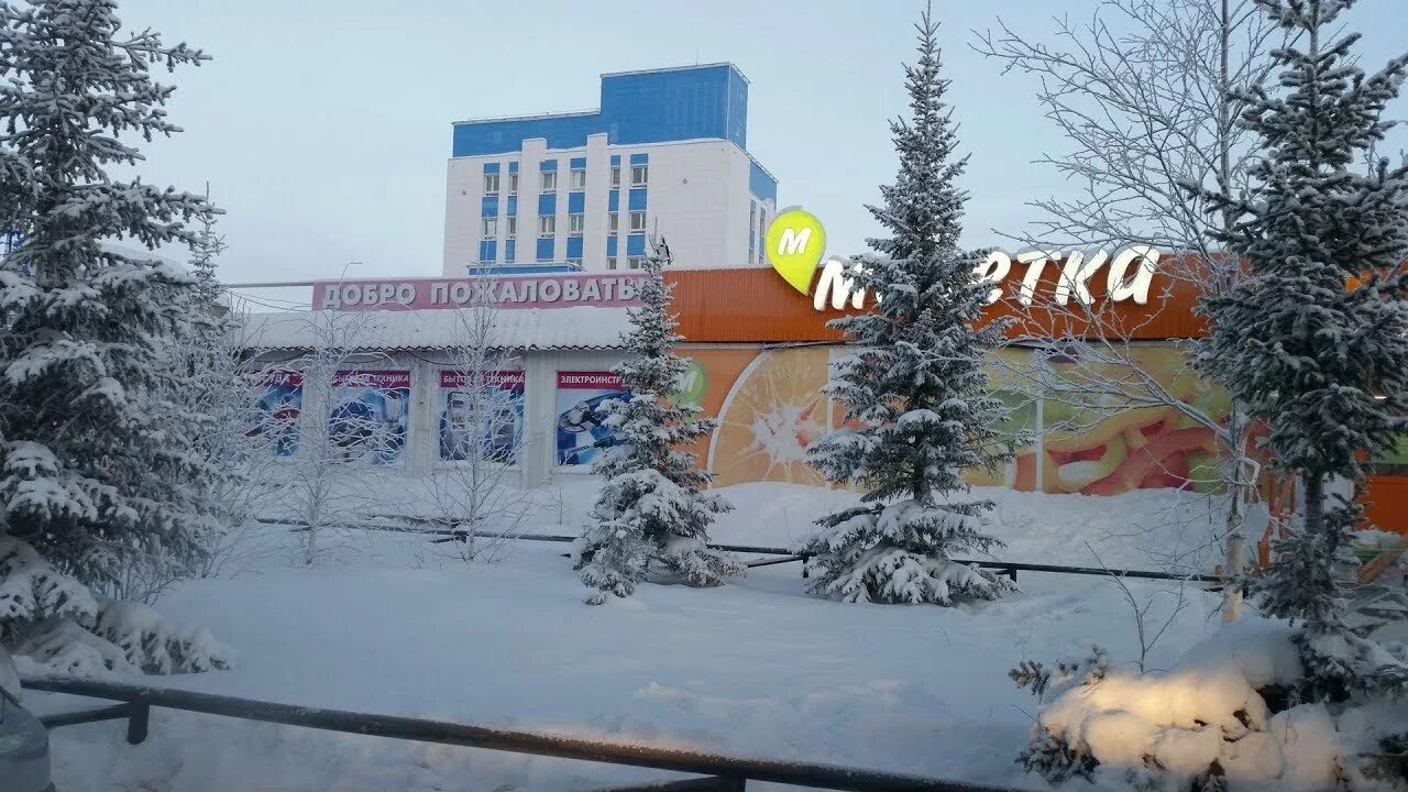 Аптека пангоды. Ямал пангоды.