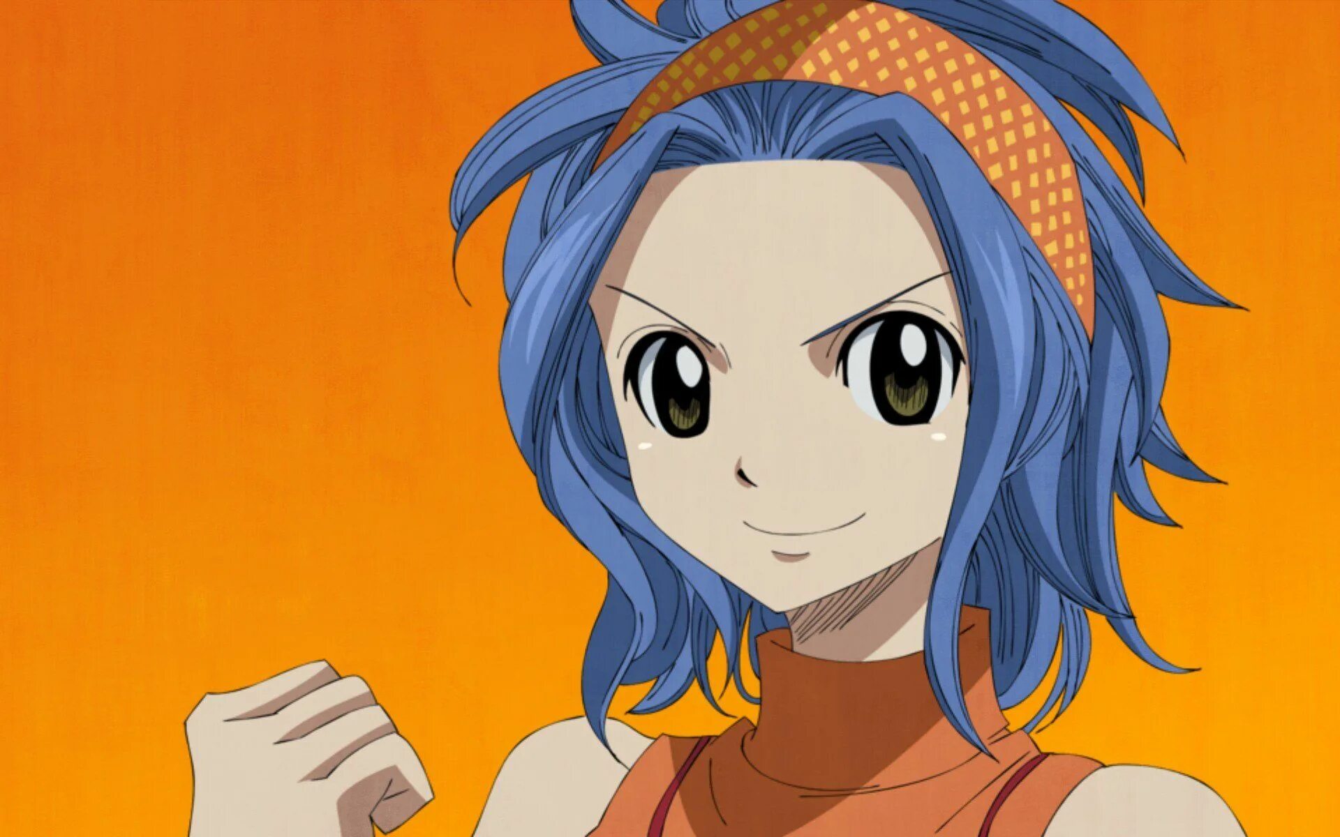 Макгарден хвост феи. Леви фея. Леви фея. Леви макгарден. Леви фейри тейл.