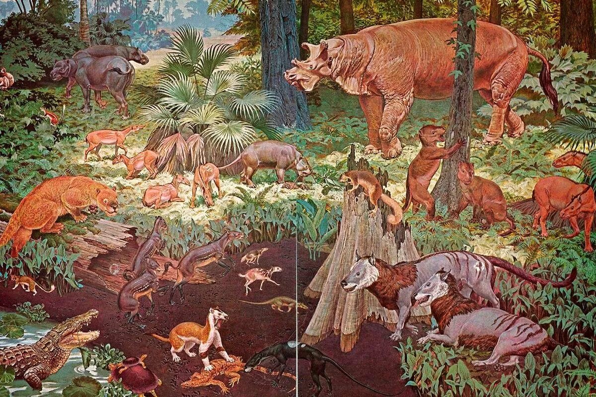 Кайнозой это. Кайнозойская эра антропоген климат. Кайнозойская эра период палеоген. Кайнозойская эра период палеоген. Кайнозой эра буриан.