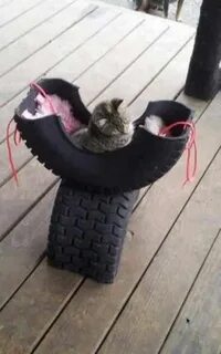 Сат шина