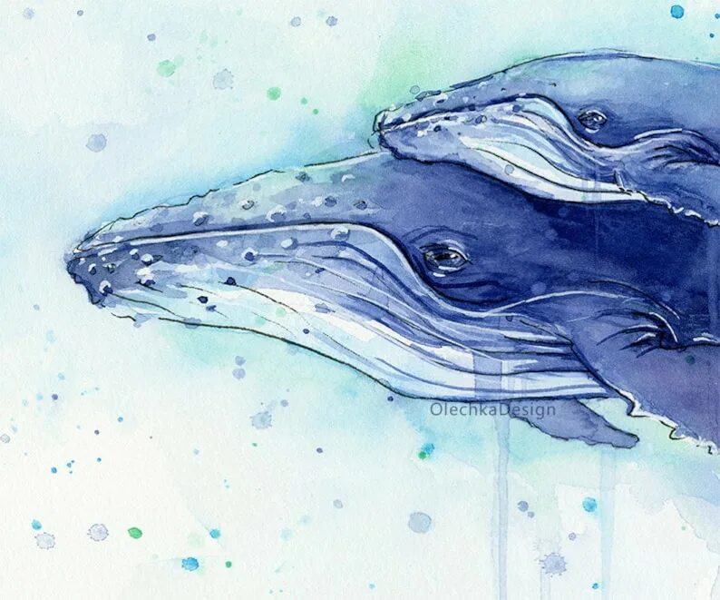 Кит рисунок. Горбатый кит арт. Милый синий кит. Кит рисунок цветной. Анималистика кит.