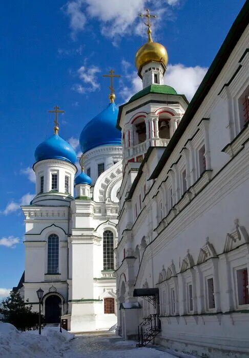 Монастырь остановиться. Николо-Перервинский монастырь. Николо-Перервинский монастырь в Москве. Николо-Перервинский монастырь зимой.