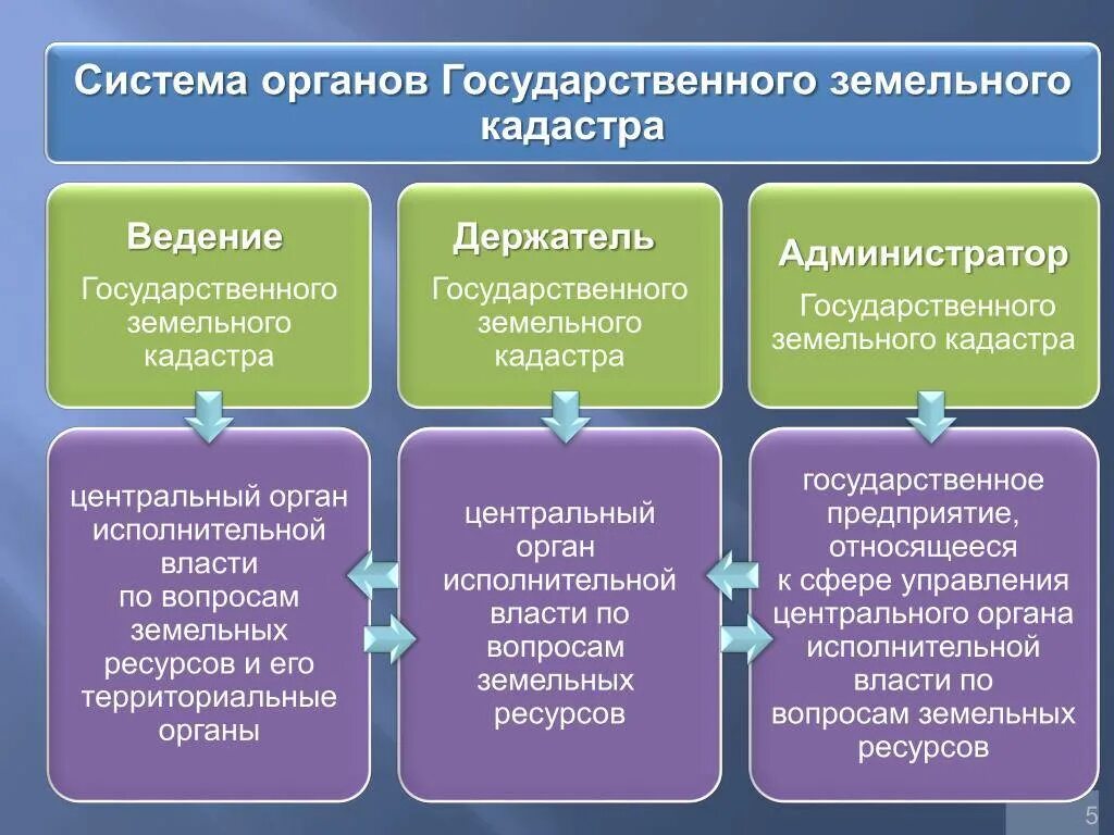 Органы в области земельных отношений. Структура государственного земельного кадастра. Структура ведения государственного земельного кадастра. Структура государственного кадастра недвижимости. Структура ведения государственного кадастра недвижимости..