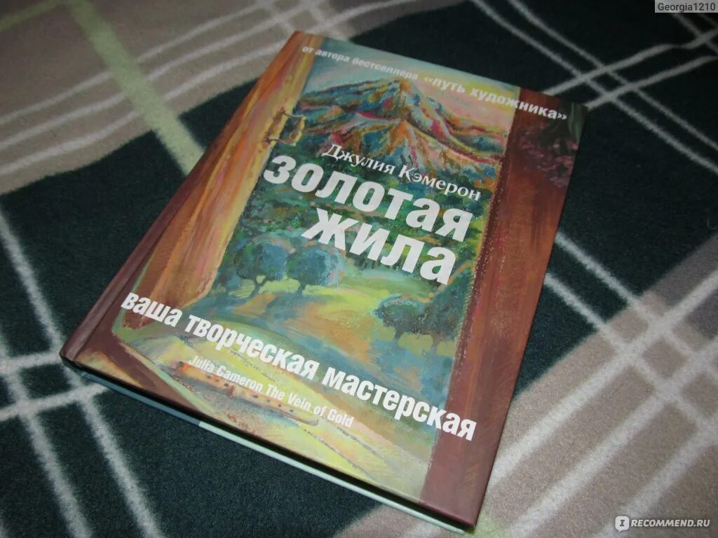 Золотые жилы книга. Золотая жила кэмерон. Золотая жила книга. Записки следователя. Путь художника.