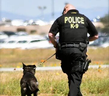 Working in a police K-9 unit is a unique position within police specialty u...