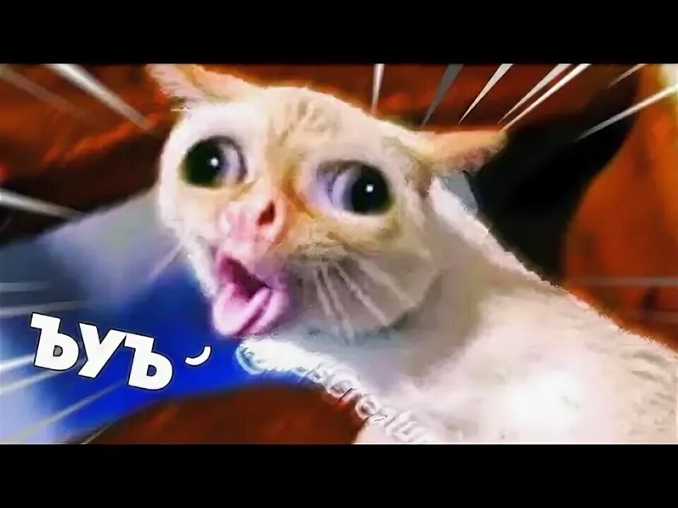 Включи видео ой не видео. Включи видео ой не видео. Включи видео ой не видео. Включи видео ой не видео. Включи видео ой не видео.