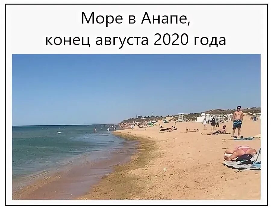 Цветет ли море в анапе в конце августа. Море в витязево в августе. Пляж витязево в августе цветет. Пляж витязево в августе цветет. Анапа водоросли.
