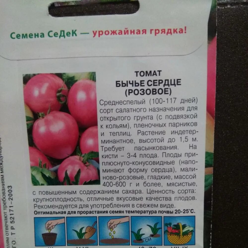 Томаты сорт бычье сердце розовое. Сорт помидор бычье сердце. помидоры бычье сердце описание сорта. бычье сердце томат розовый описание сорта. сорт томатов бычье сердце.