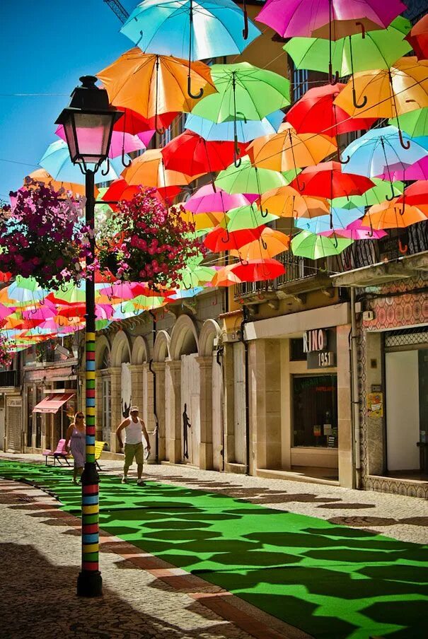 Улица парящих зонтиков, Агеда, Португалия. Агеда Португалия. Улица зонтиков в Португалии. Аллея зонтиков в Португалии. Color street