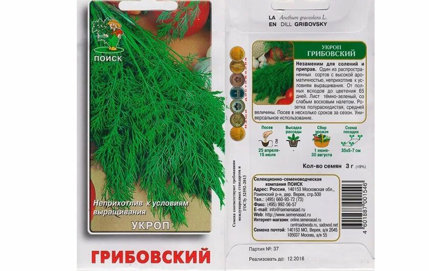Какой сорт укропа. Укроп сорт грибовский. укроп семена лучшие сорта на зелень. популярный сорт укропа. семена укропа сорта.