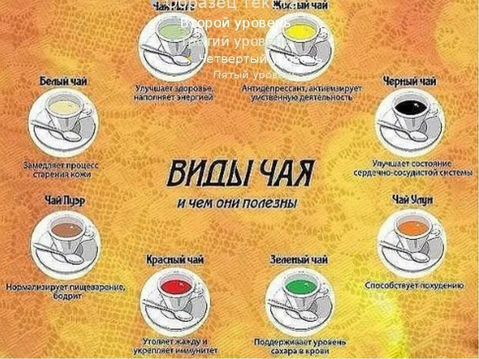 Какого цвета бывает чай. Разновидности чая. виды чачи. сорта чая. чай виды названия.