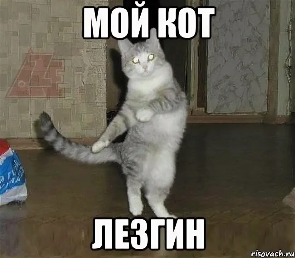 Лезгинский кот. Лезгины мемы. Лезгин прикол. Лезгинский флаг. Футболка лезгин.