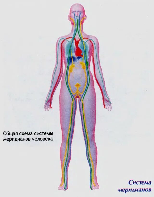 Схемы энергетических каналов. Схемы энергетических каналов. Су джок энергетические точки. 12 энергетических меридианов человека. Схемы энергетических каналов.