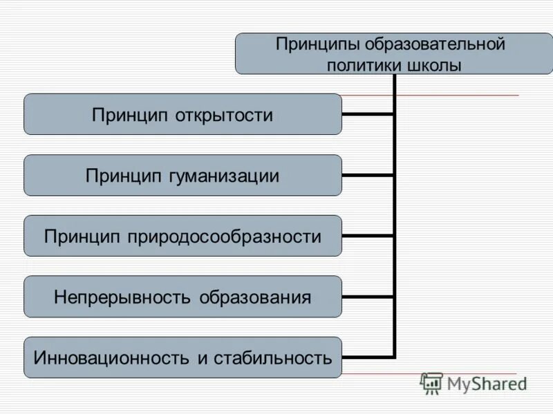 Принципы образования политики