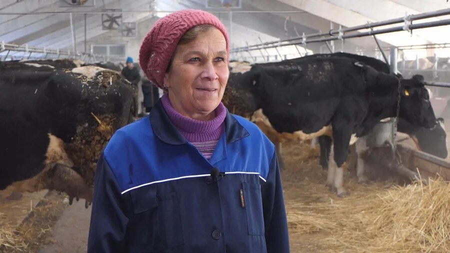 Спк куйбышева городецкий район. Спк куйбышево. Городец спк куйбышева. Спк колхоз им куйбышева городецкий район нижегородской области. Спк куйбышево.